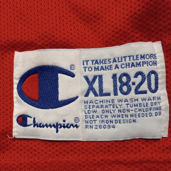 Vintage Champion Chicago Bulls Dennis Rodman Jersey